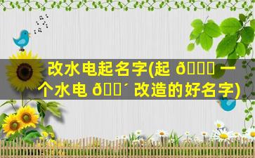 改水电起名字(起 🐎 一个水电 🐴 改造的好名字)